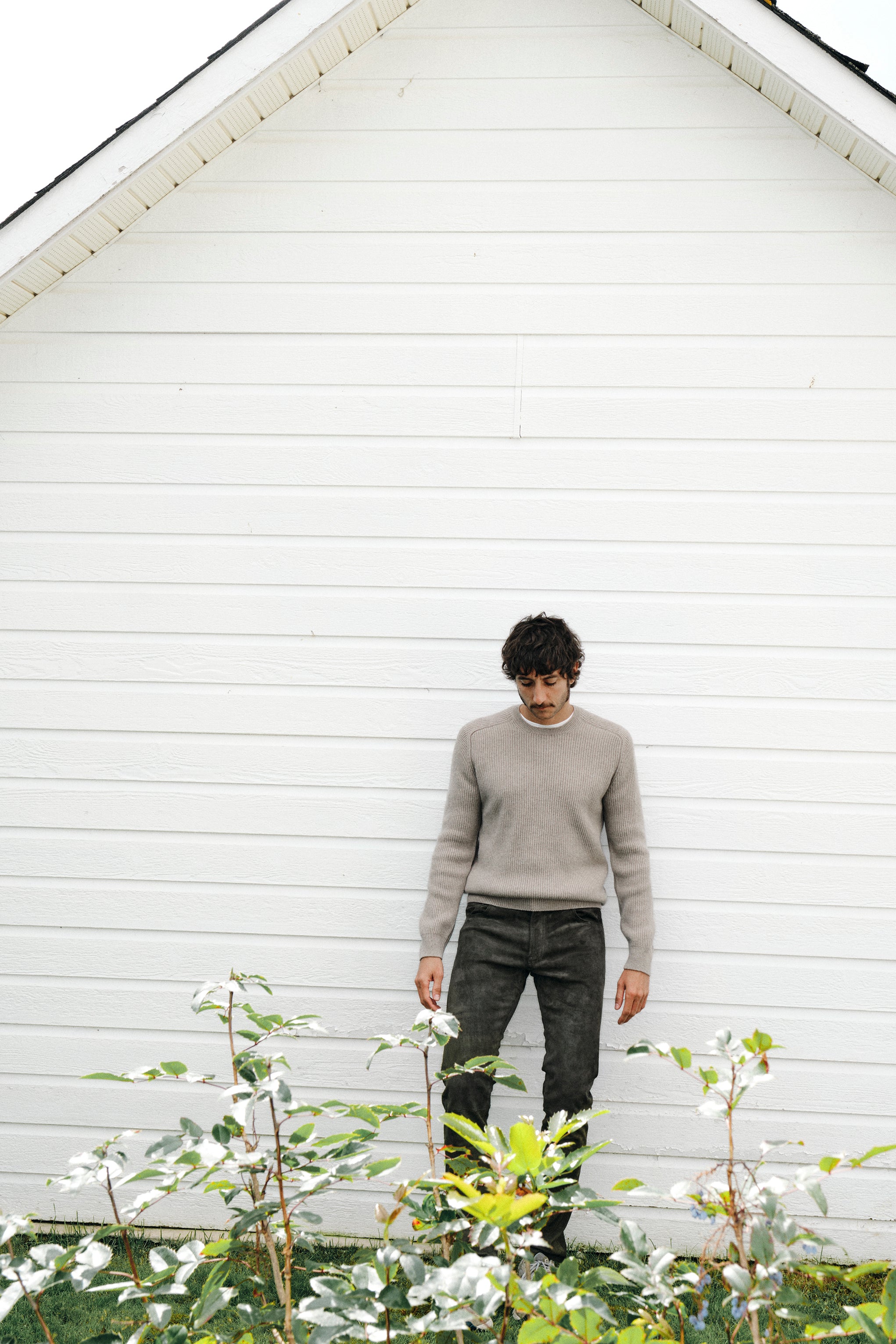 MEN'S CREW NECK BISQUE WOOL