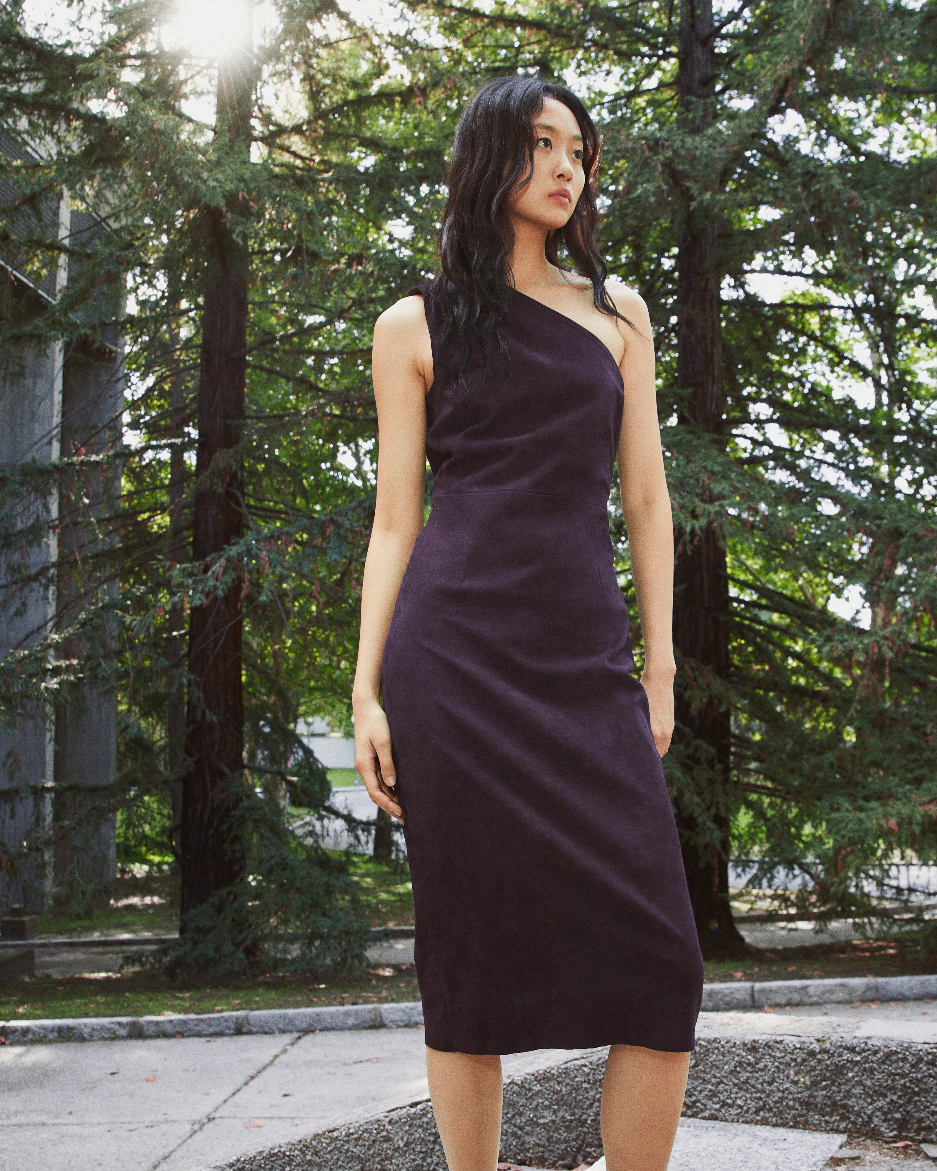 Jimmy Dress Black Grape Suede